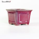 T2421 12.5x9.5 - Shibakatsu - immagine 2