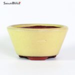 T2423 12.0 x 6.5 - Eimei Youzan