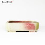 T2455 19.5x15.0x5.5 cm Japan