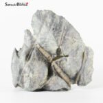 Suiseki palombino Liguria - immagine 6