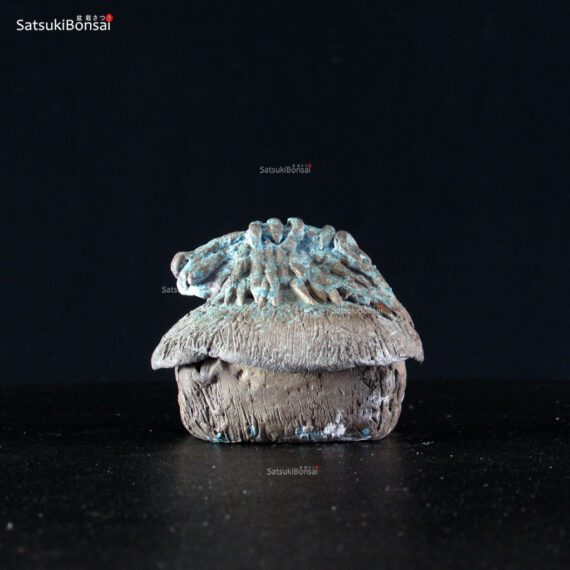 Capanna gres - immagine 2