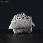 Capanna gres - immagine 4