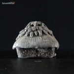 Capanna gres - immagine 4