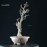 Glicine - Wisteria floribunda - immagine 4