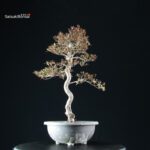 Azalea Satsuki Spp. - immagine 3