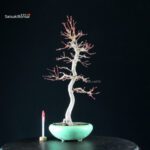 Acero Palmato Yamamomiji - immagine 5