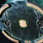 Acer Buergerianum - Kaede shohin VENDUTO - immagine 11