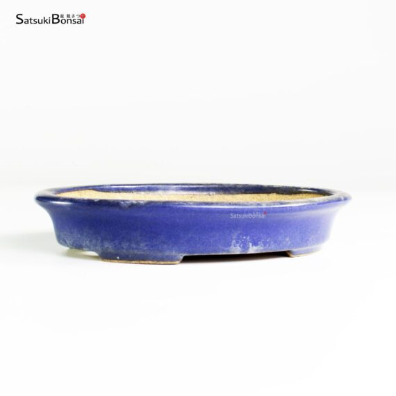 T25109_2-Hattori T25109 16.0x12.5x3.0 - Hattori - immagine 2