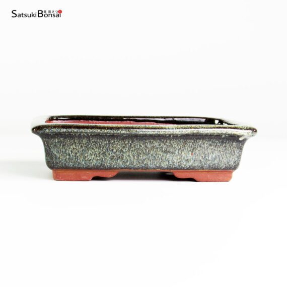 T25111_1-Yozan T25111 15.0x11.0x4.0 - Eimei Youzan - immagine 1