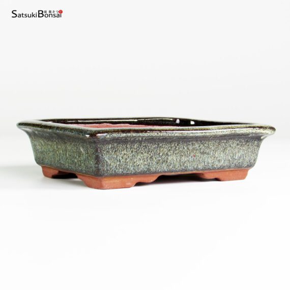 T25111_2-Yozan T25111 15.0x11.0x4.0 - Eimei Youzan - immagine 2