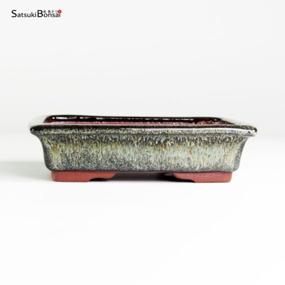 T25112_1-Yozan T25112 15.0x11.0x4.0 - Eimei Youzan - immagine 1