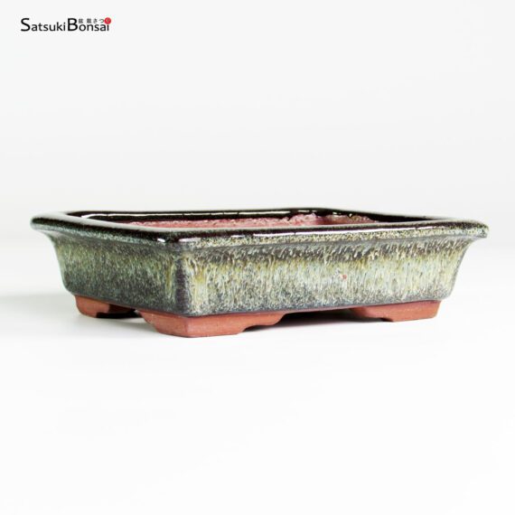 T25112_2-Yozan T25112 15.0x11.0x4.0 - Eimei Youzan - immagine 2