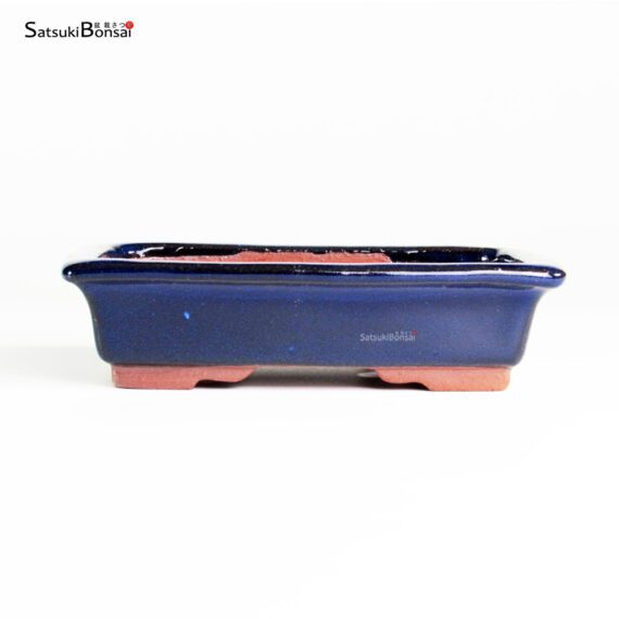 T25113_1-Yozan T25113 15.0x11.0x4.0 - Eimei Youzan - immagine 1