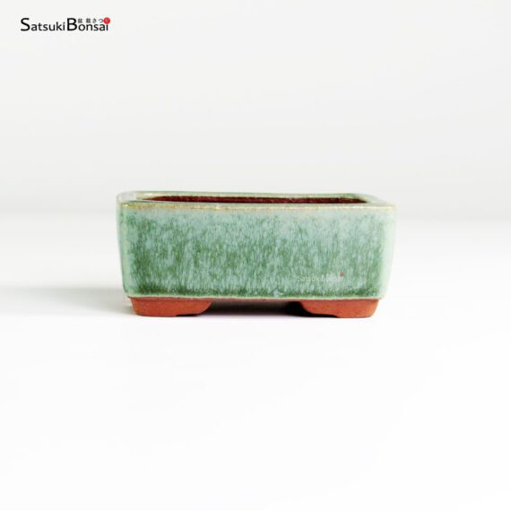 T25114_1-Yozan T25114 9.5x7.0x4.0 - Eimei Youzan - immagine 1
