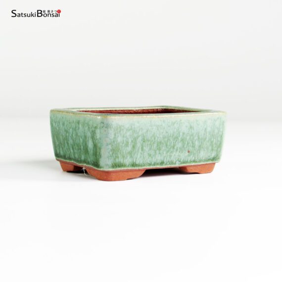 T25114_2-Yozan T25114 9.5x7.0x4.0 - Eimei Youzan - immagine 2