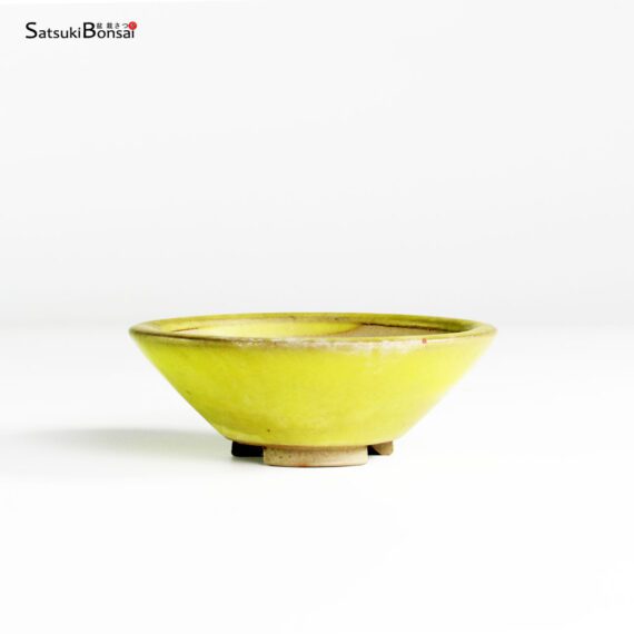 T25120_1-Bigei T25120 9.5x3.5 Bigei - immagine 1