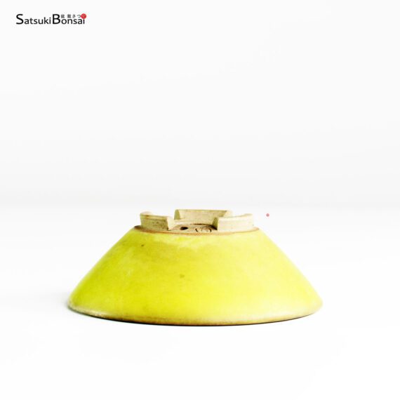 T25120_2-Bigei T25120 9.5x3.5 Bigei - immagine 2