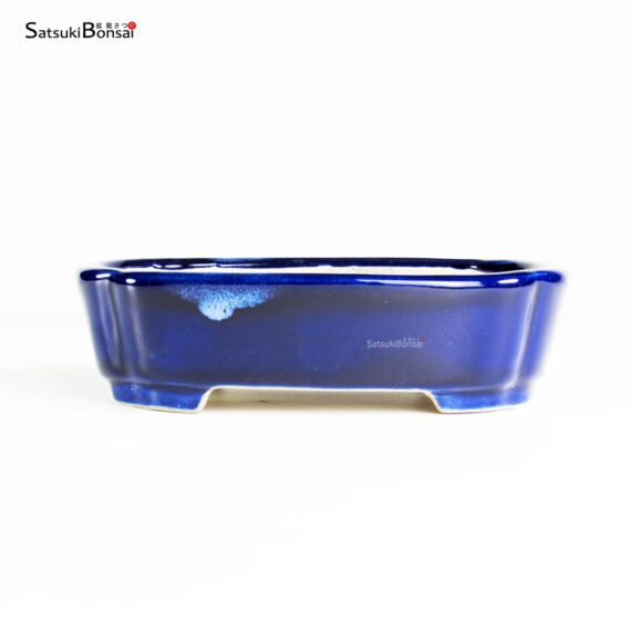 T25134_1-Satomi T25134 16.5x12.0x4.5 Satomi (Seto) - immagine 1