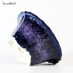 T25136 21.5 x 10.0 - Koyo - immagine 2