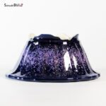 T25136 21.5 x 10.0 - Koyo - immagine 3