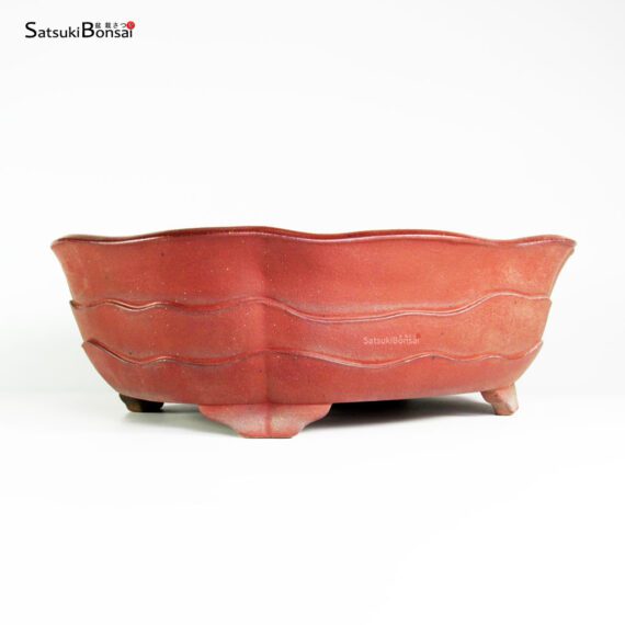 T25173_2-Tokoname-Yamaaki T25173 41.0x33.0x13.0 - Yamaaki Koshosen - immagine 2