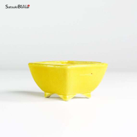 T25180 7.6x4.5 - Koyo - immagine 1