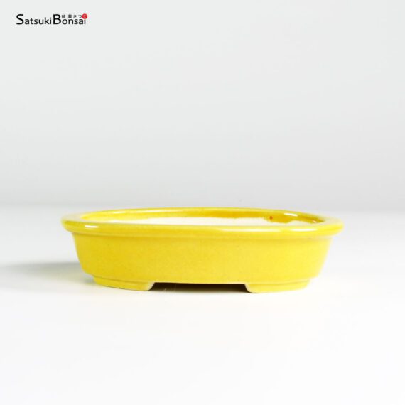 T25181 12.4x10.0x2.7 - Koyo - immagine 1