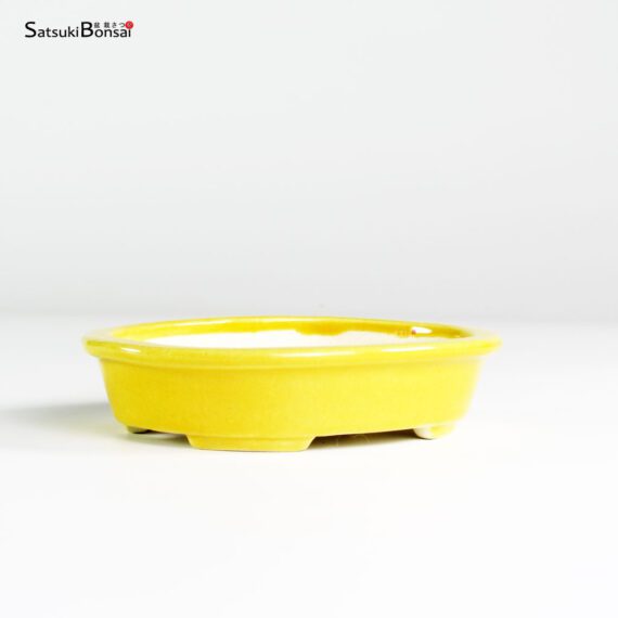 T25181 12.4x10.0x2.7 - Koyo - immagine 2