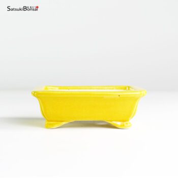 T25182 10.5x8.5x3.5 - Koyo