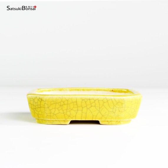 T25183 11.4x9.2x3.0 - Koyo - immagine 1