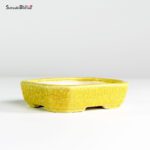 T25183 11.4x9.2x3.0 - Koyo - immagine 2