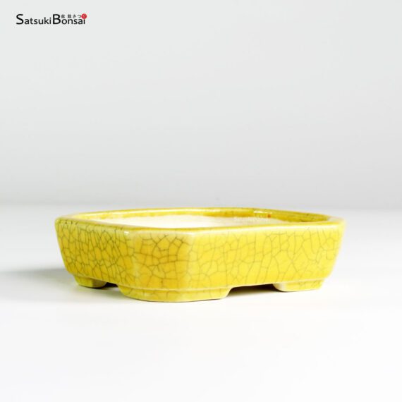 T25183 11.4x9.2x3.0 - Koyo - immagine 2