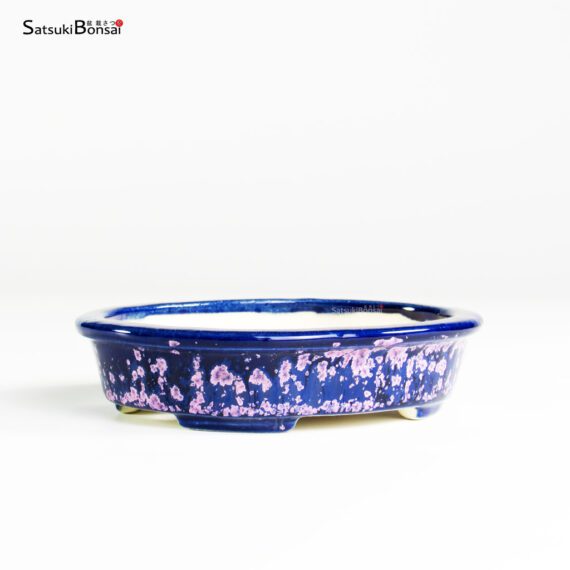 T25185 12.5x10.0x3.0 - Koyo - immagine 2