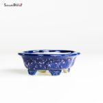 T25186 10.8x8.7x3.5 - Koyo - immagine 2