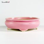 T25129 18.5x16.0x5.5 - Shibakatsu