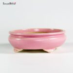 T25129 18.5x16.0x5.5 - Shibakatsu - immagine 2