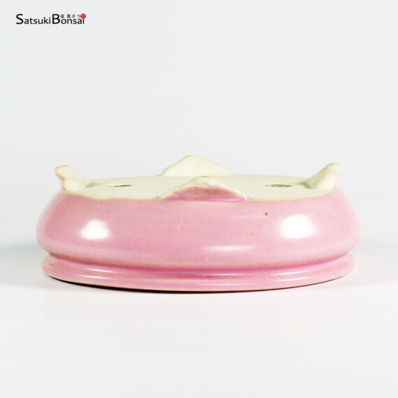 T25129 18.5x16.0x5.5 - Shibakatsu - immagine 3