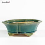 T25130 17.5x15.5x6.0 - Shibakatsu - immagine 2