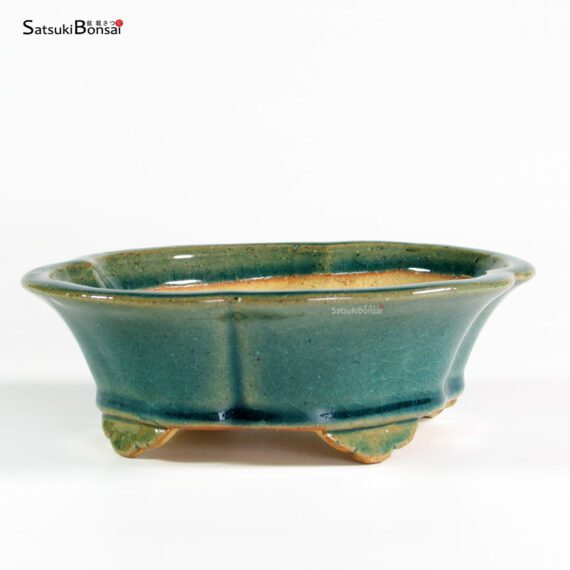 T25130 17.5x15.5x6.0 - Shibakatsu - immagine 2