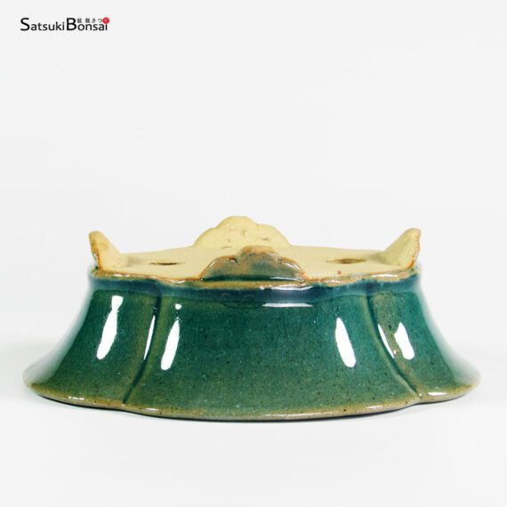 T25130 17.5x15.5x6.0 - Shibakatsu - immagine 3