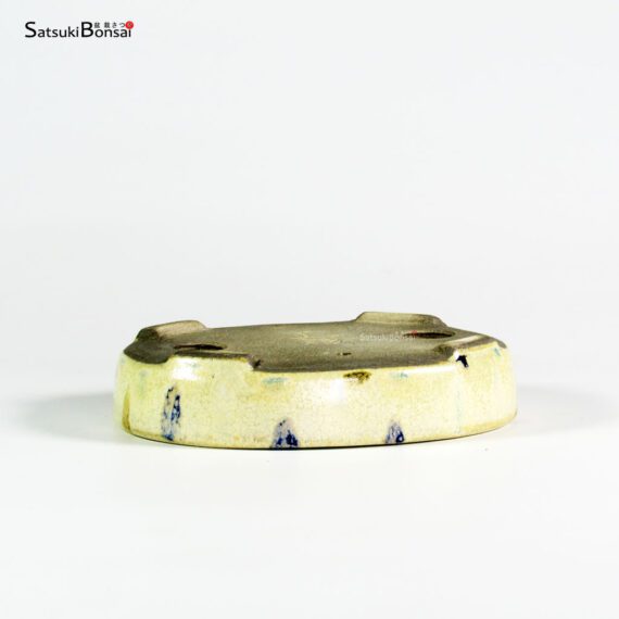 T25131 14.0x11.5x3.0 - Satomi - immagine 2