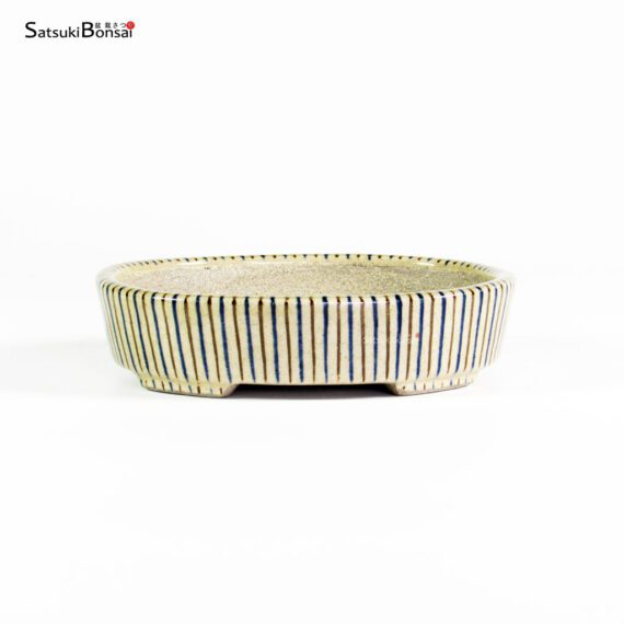 T25133 13.0x10.5x3.0 - Satomi - immagine 1