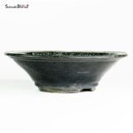 T25163 24.5x8.0 - Shuho