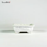 T25170 12.5x10.0x4.5 - Shozan