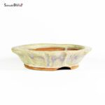 T2521 19.5x4.7 - Ryugaku