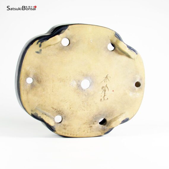 T2526 29.5x26.0x8.5 - Shuho - Mokko - immagine 3