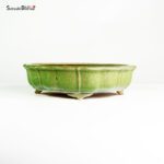 T2518 26.5x7.0 - Hattori