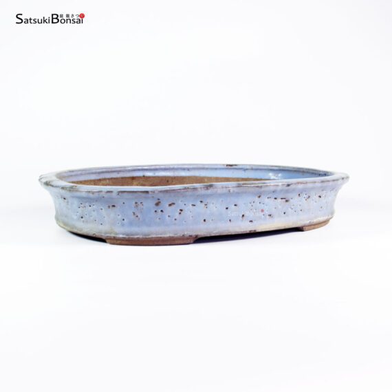 T2544 35.5x27.0x5.5 - Shuho - immagine 2