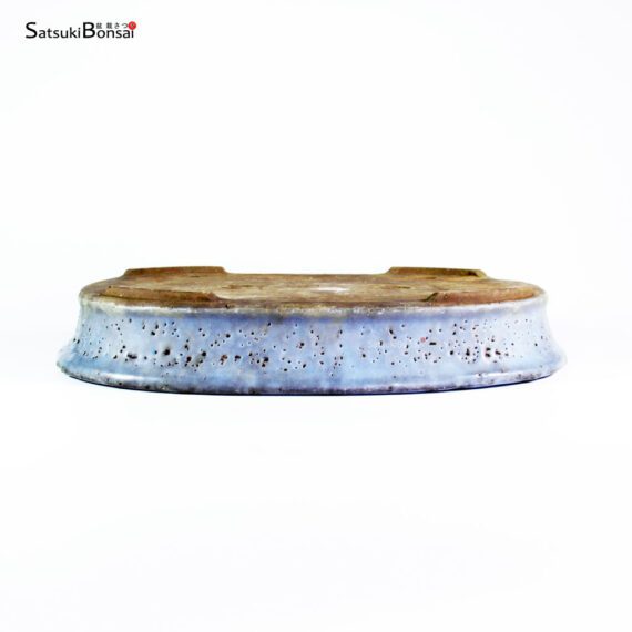 T2544 35.5x27.0x5.5 - Shuho - immagine 3