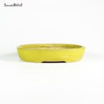 T2556 25.0x21.2x4.8 - Mazan